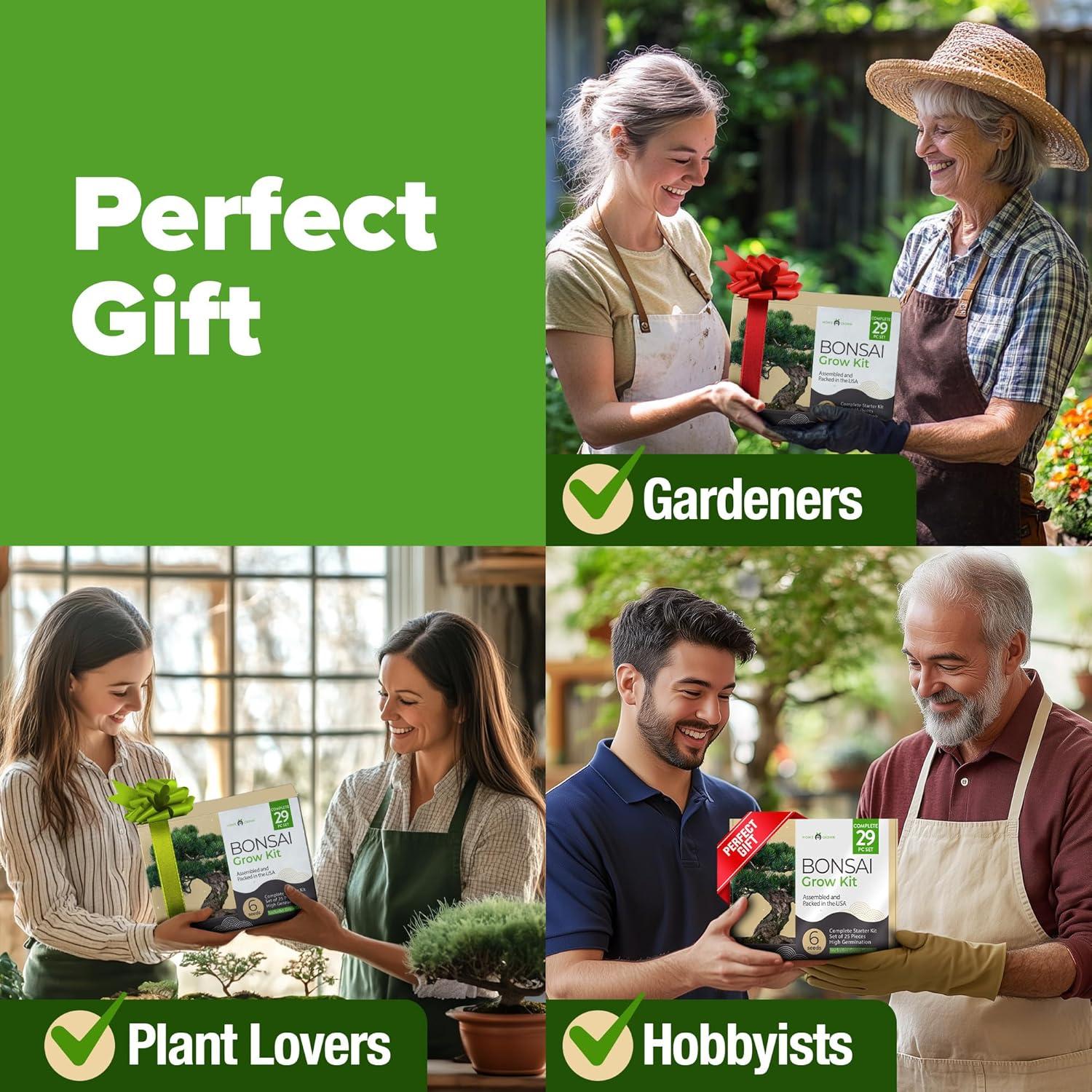 Kit de Bonsai HOME GROWN - 6 Variedades con Macetas