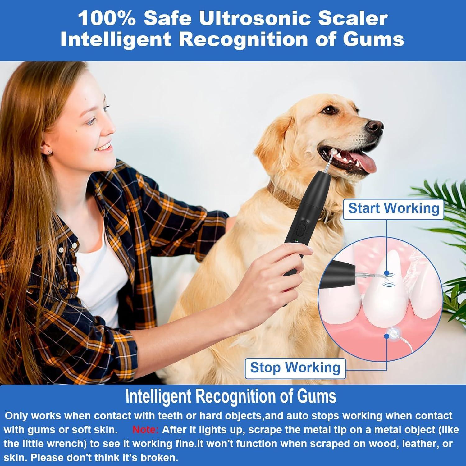 Kit de Limpieza Dental para Perros Litcuidi J09G - 3 Modos, USB