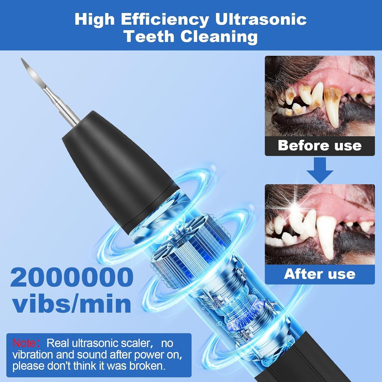 Kit de Limpieza Dental para Perros Litcuidi J09G - 3 Modos, USB