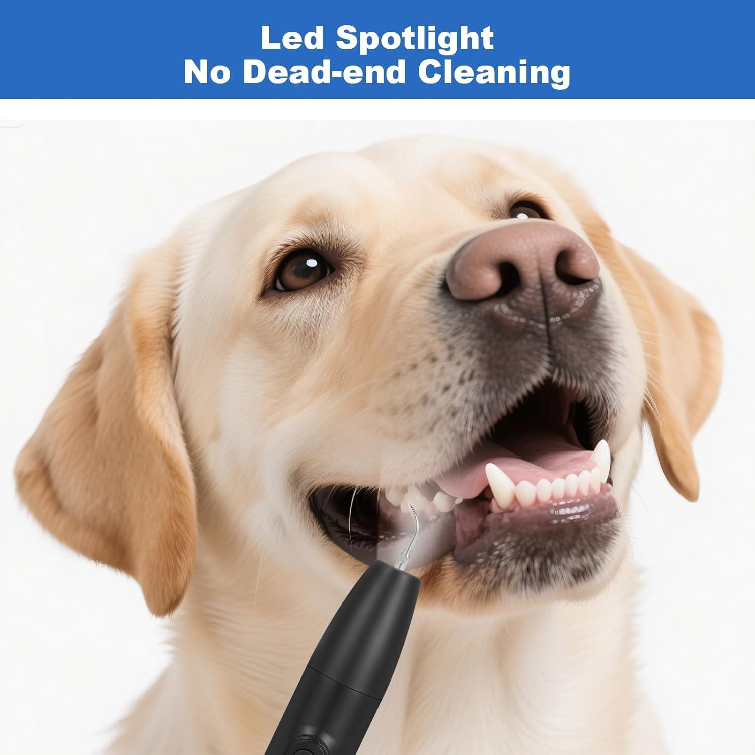 Kit de Limpieza Dental para Perros Litcuidi J09G - 3 Modos, USB