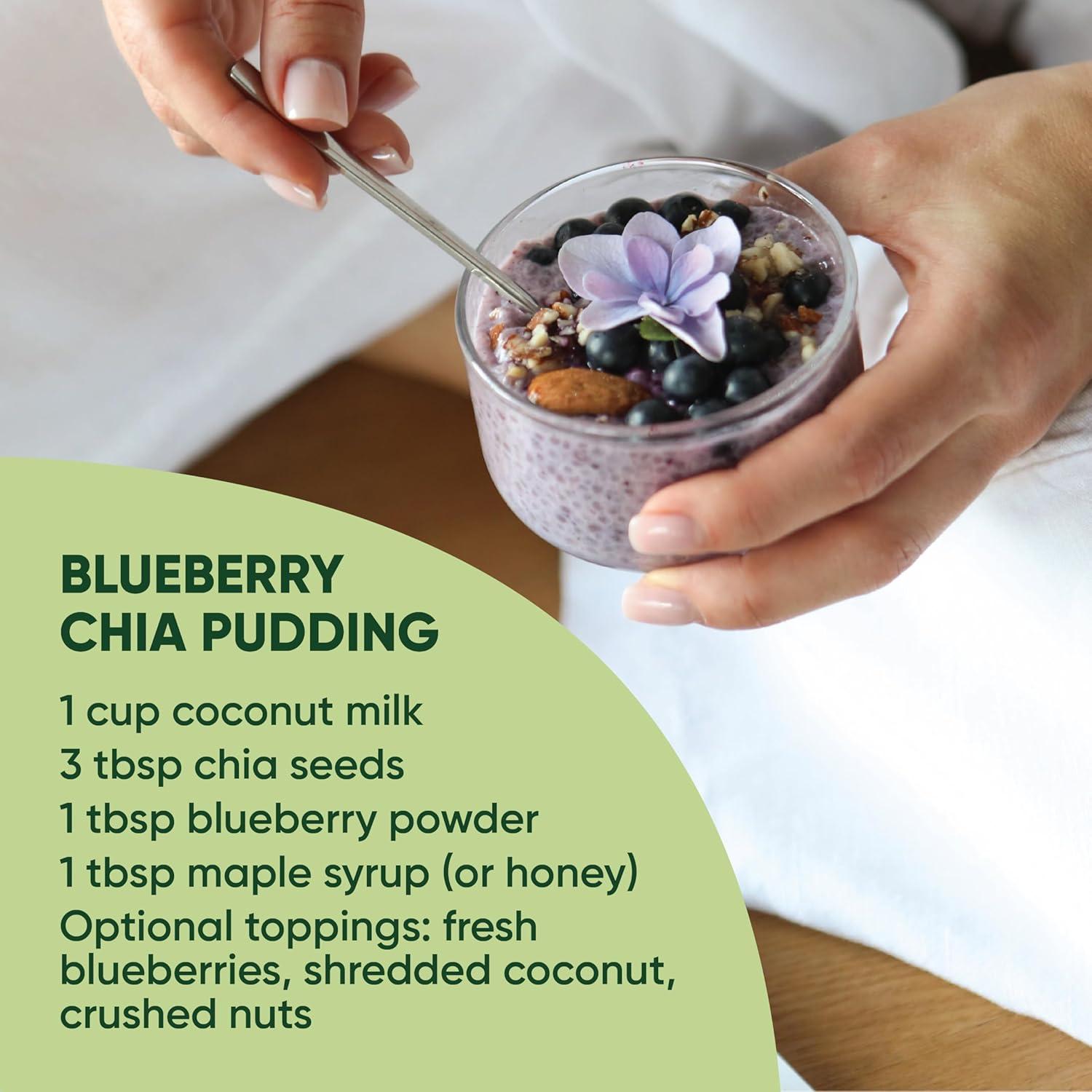 Polvo de Arándano Azul Orgánico Norseed 100g Liofilizado