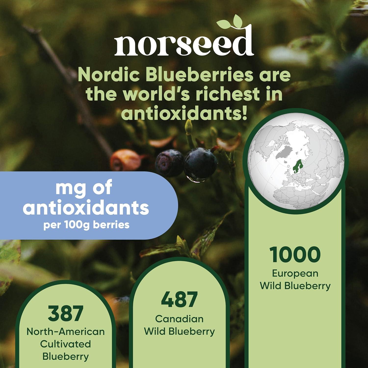 Polvo de Arándano Azul Orgánico Norseed 100g Liofilizado