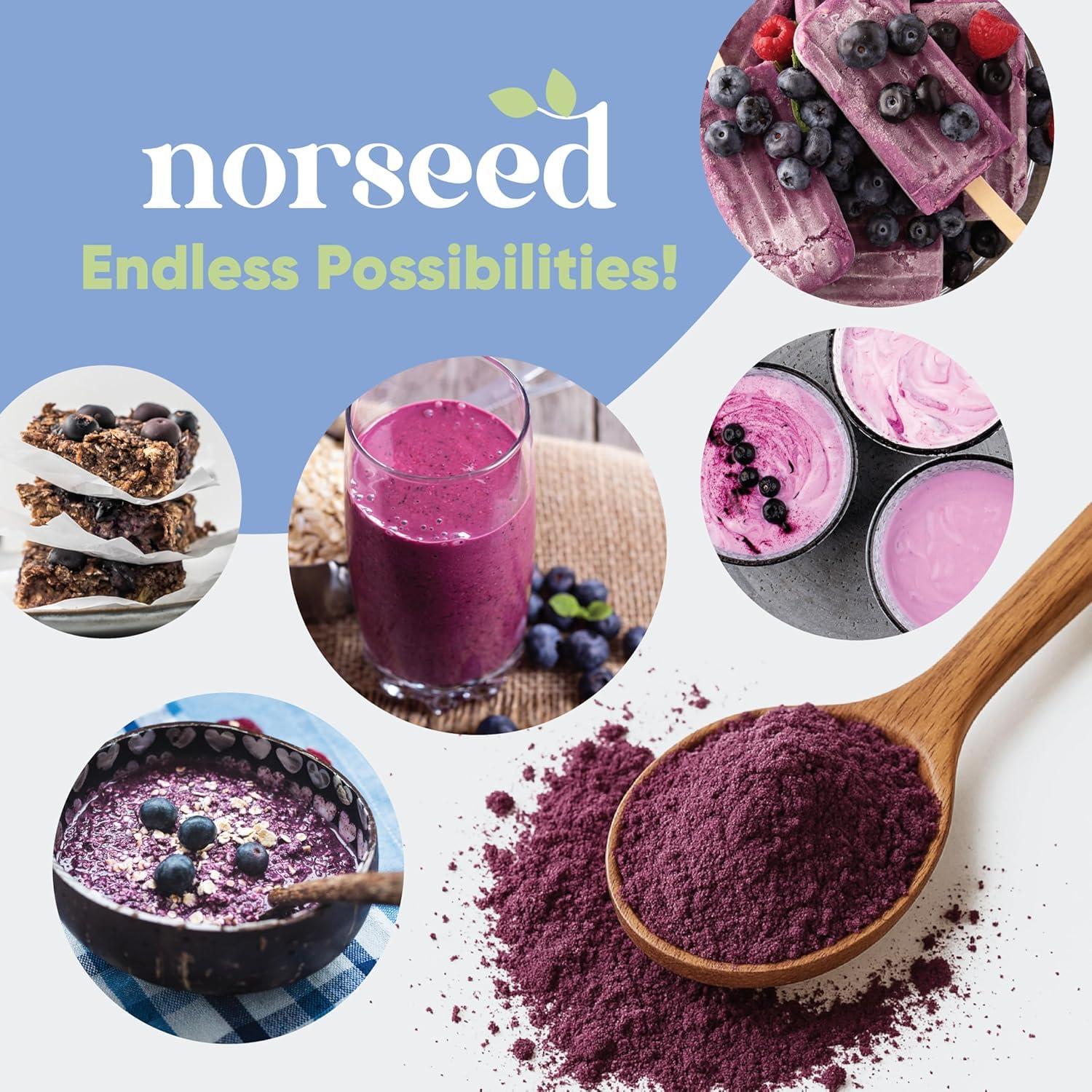 Polvo de Arándano Orgánico Liofilizado Norseed 142g Sin Azúcar