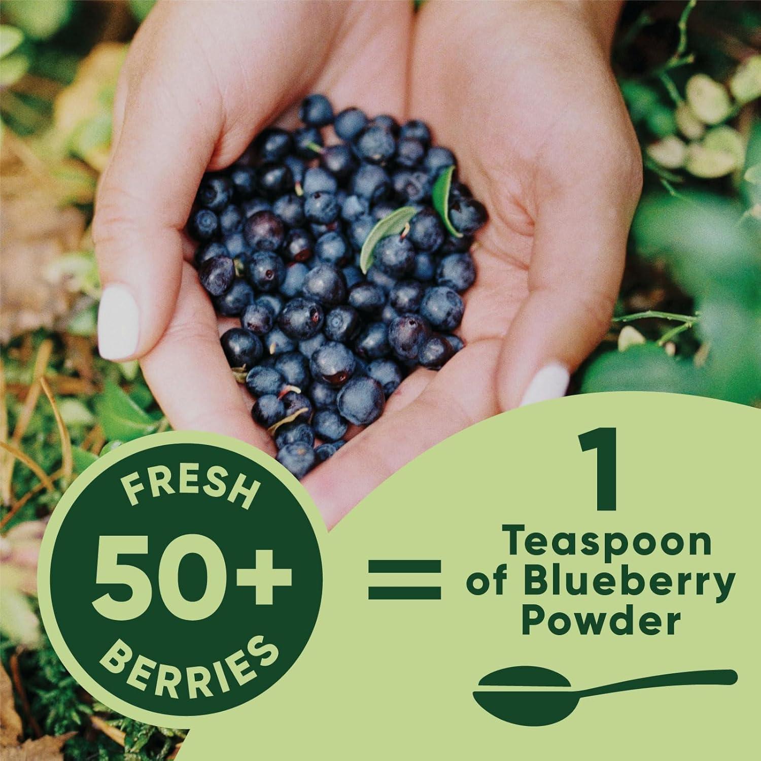 Polvo de Arándano Orgánico Liofilizado Norseed 142g Sin Azúcar