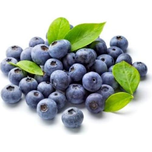 Polvo de Arándano Orgánico FruitCeuticals 226g - Suministro 90 Días