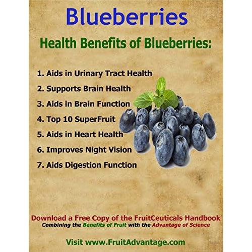 Polvo de Arándano Orgánico FruitCeuticals 226g - Suministro 90 Días