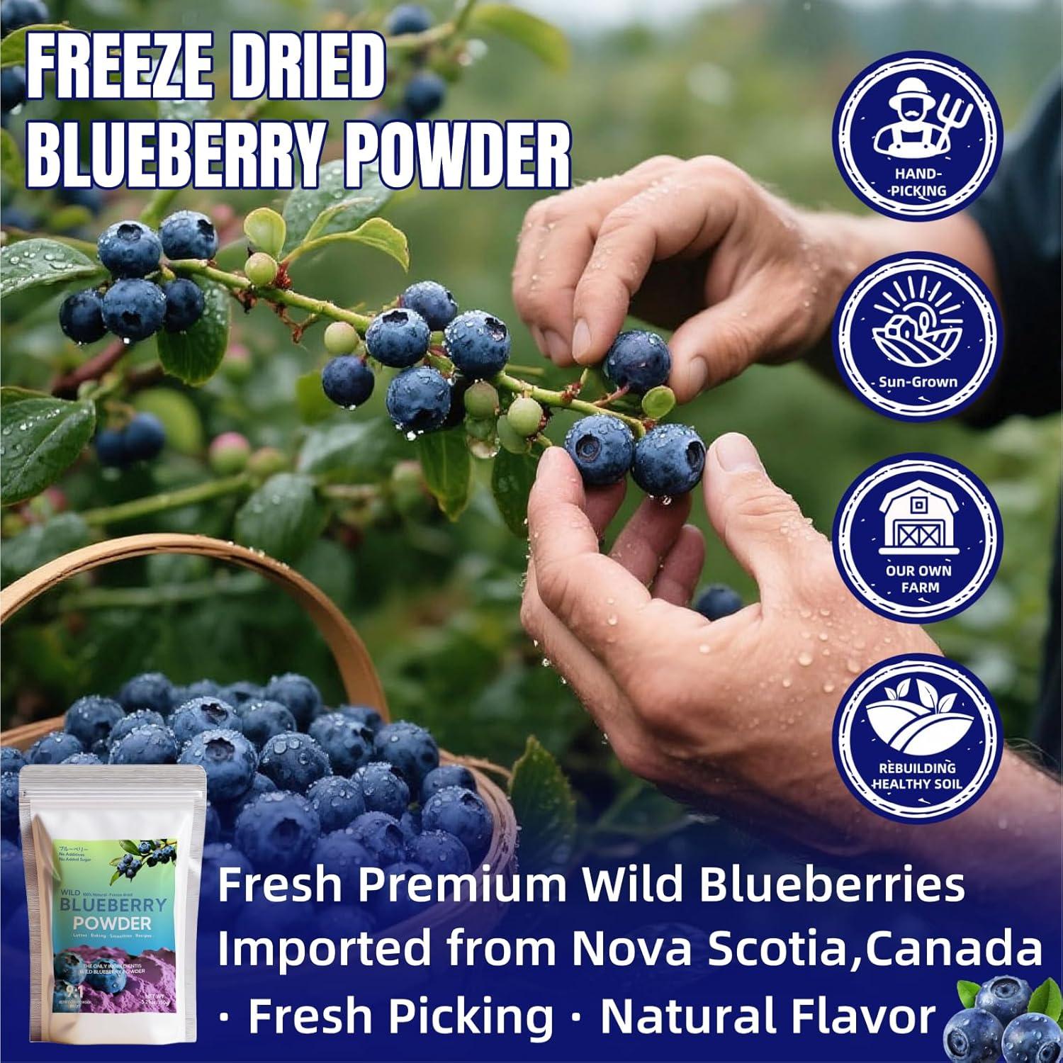 Polvo de Arándano Silvestre 150g - Sin Azúcar Añadido