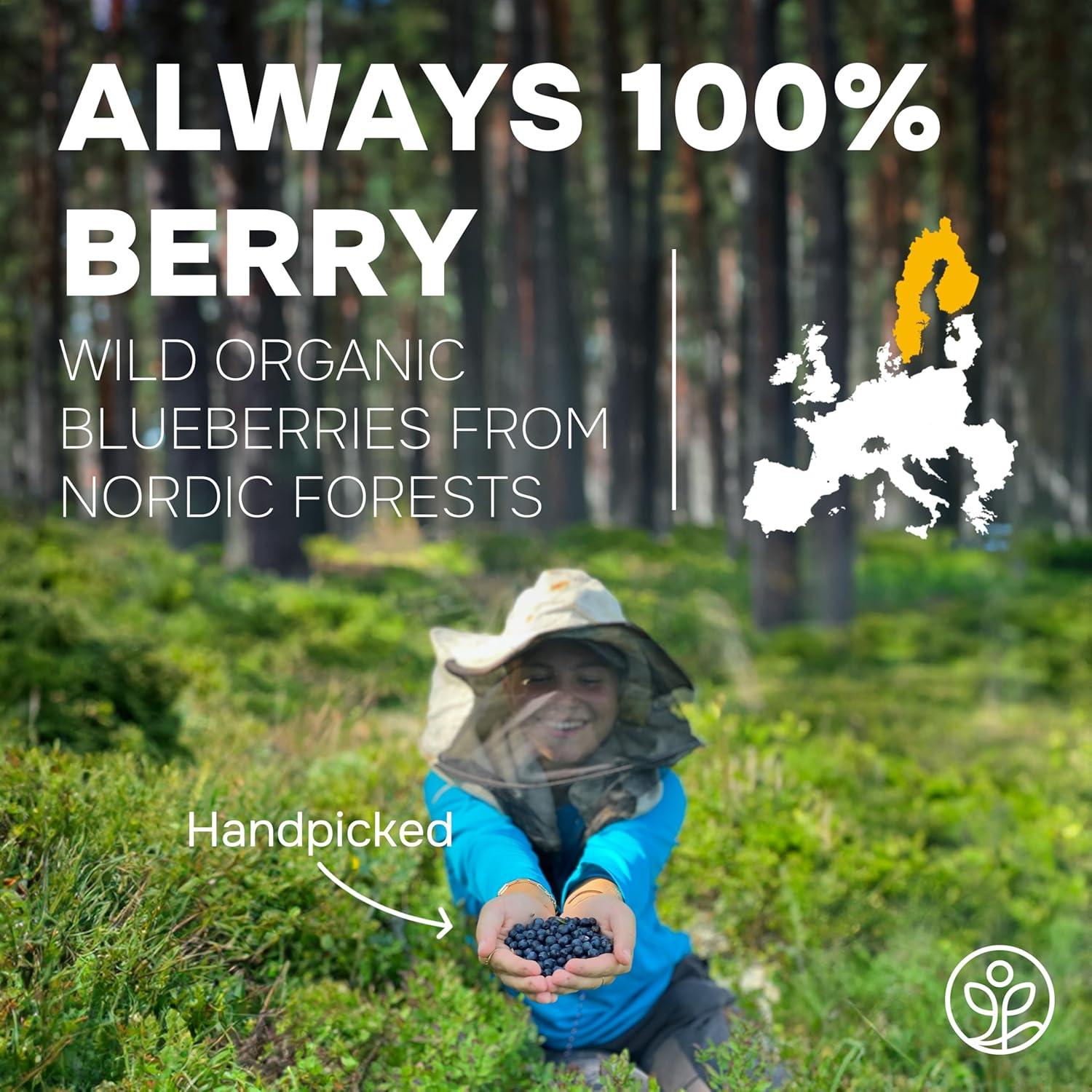 Arándanos Silvestres Orgánicos Liofilizados Jungle Powders 113g