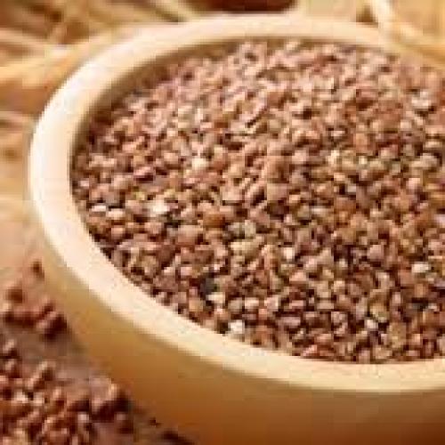 Kasha Orgánica Tostada 2.27kg - Trigo Sarraceno Certificado