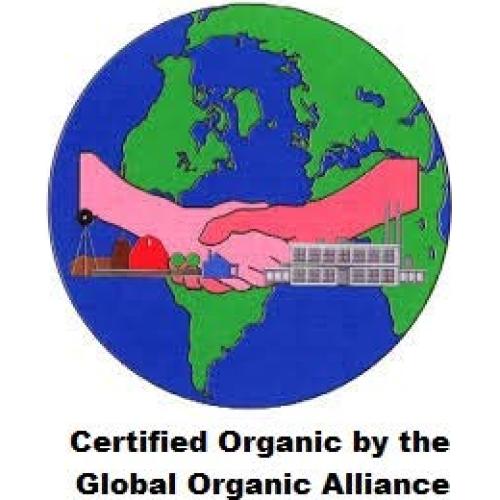 Kasha Orgánica Tostada 2.27kg - Trigo Sarraceno Certificado