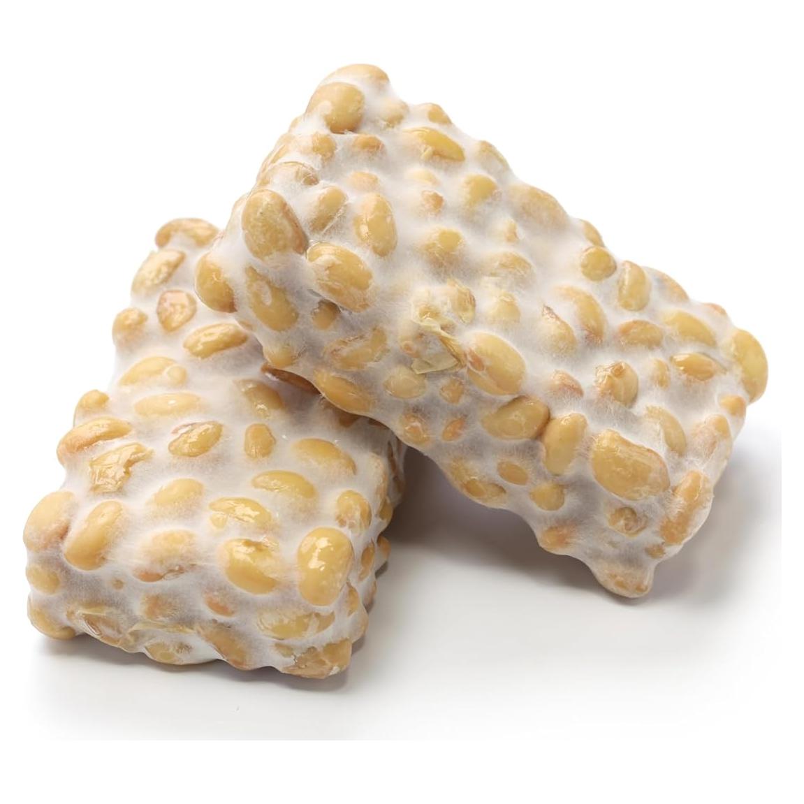 Cultivo de Inicio de Tempeh Fluxias - 20g de Esporas Rhizopus