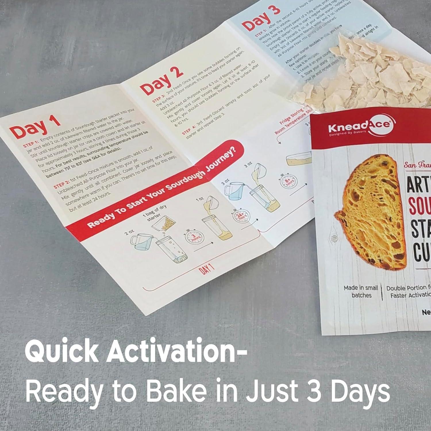 Cultura de Inicio de Masa Madre KneadAce 680g - Levadura Natural