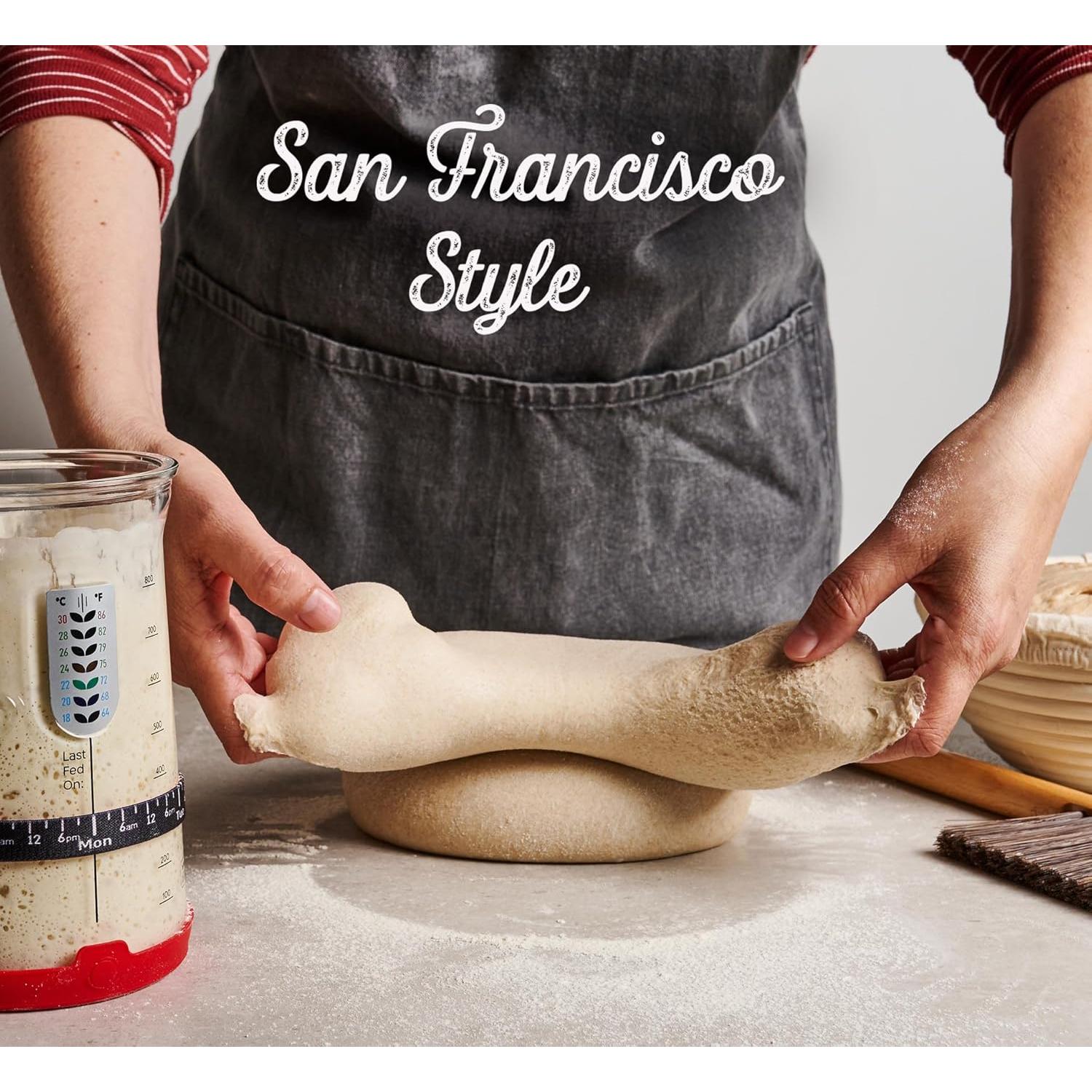 Cultura de Inicio de Masa Madre KneadAce 680g - Levadura Natural