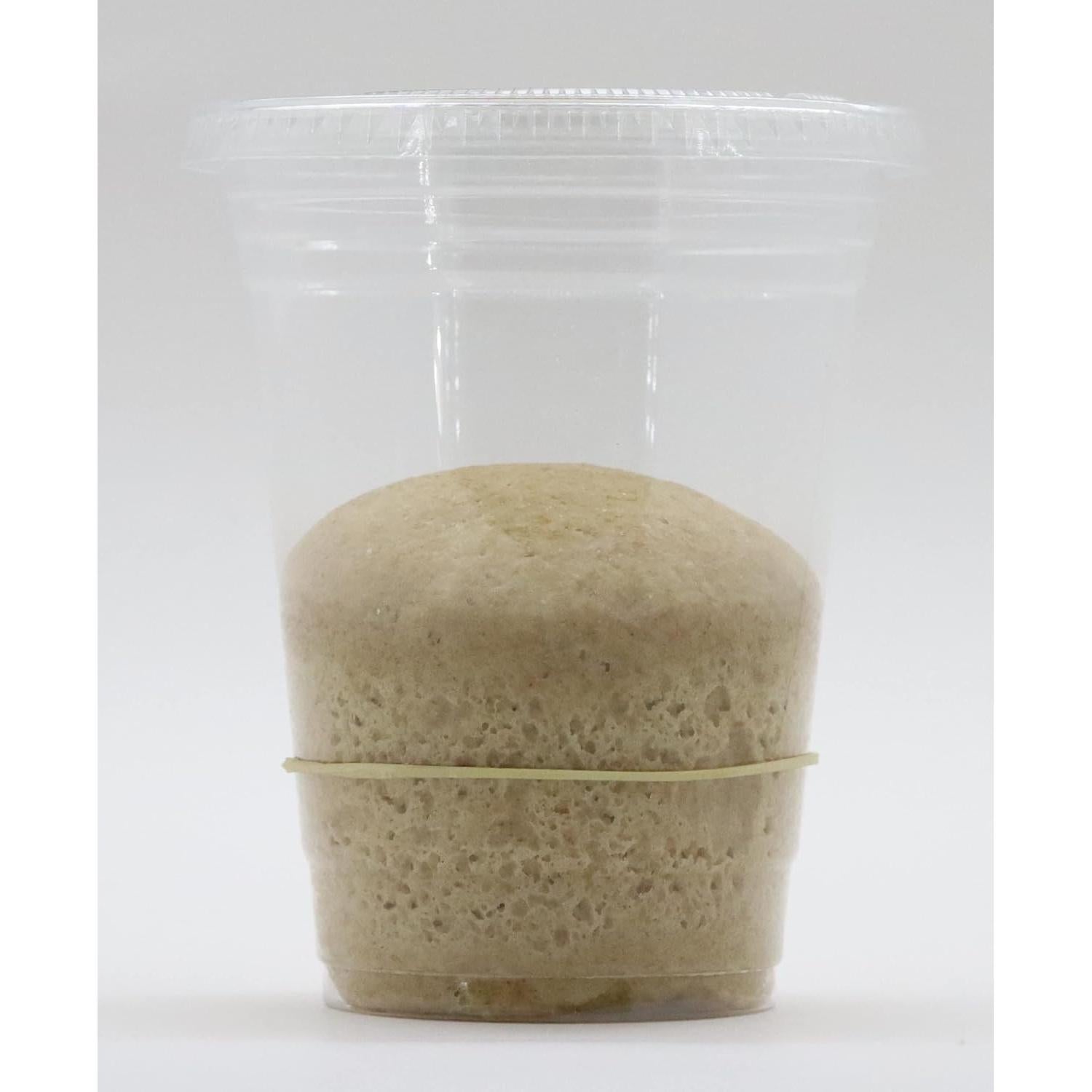 Inicio de Masa Madre Natural Bakerdale 30g - Trigo Integral