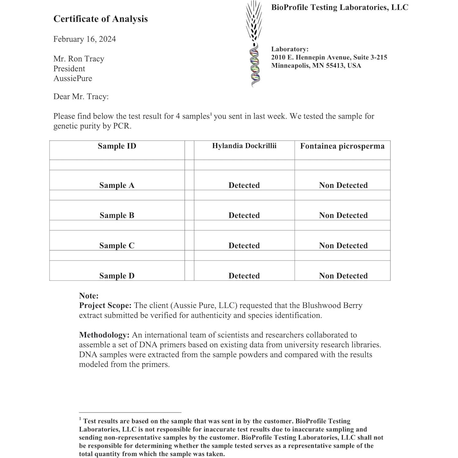 Polvo de Baya Blushwood EBC-46 Aussie Pure 180g - Inmunológico