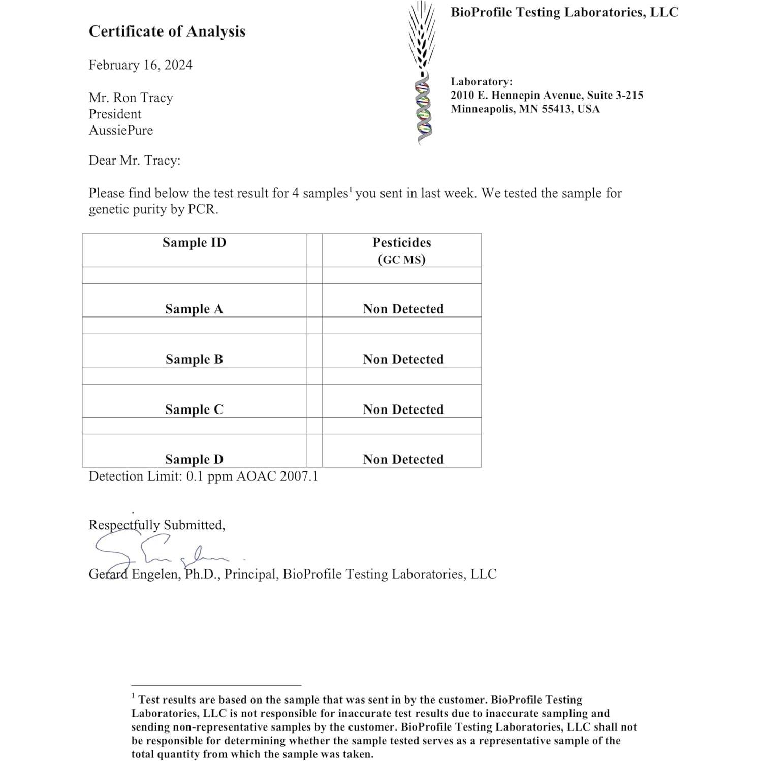 Polvo de Baya Blushwood EBC-46 Aussie Pure 180g - Inmunológico