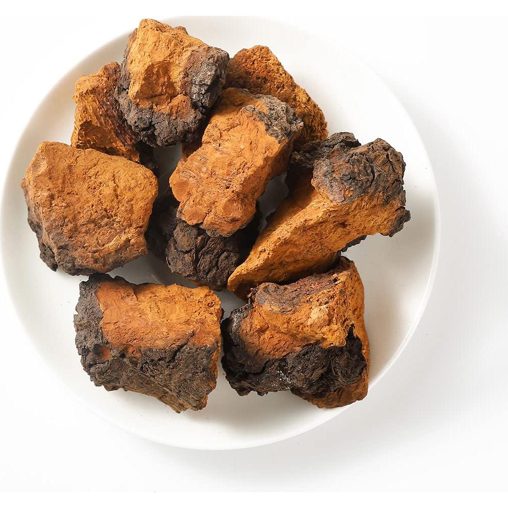 Hongos Chaga Premium YILINSHA 199g - Suplemento Natural