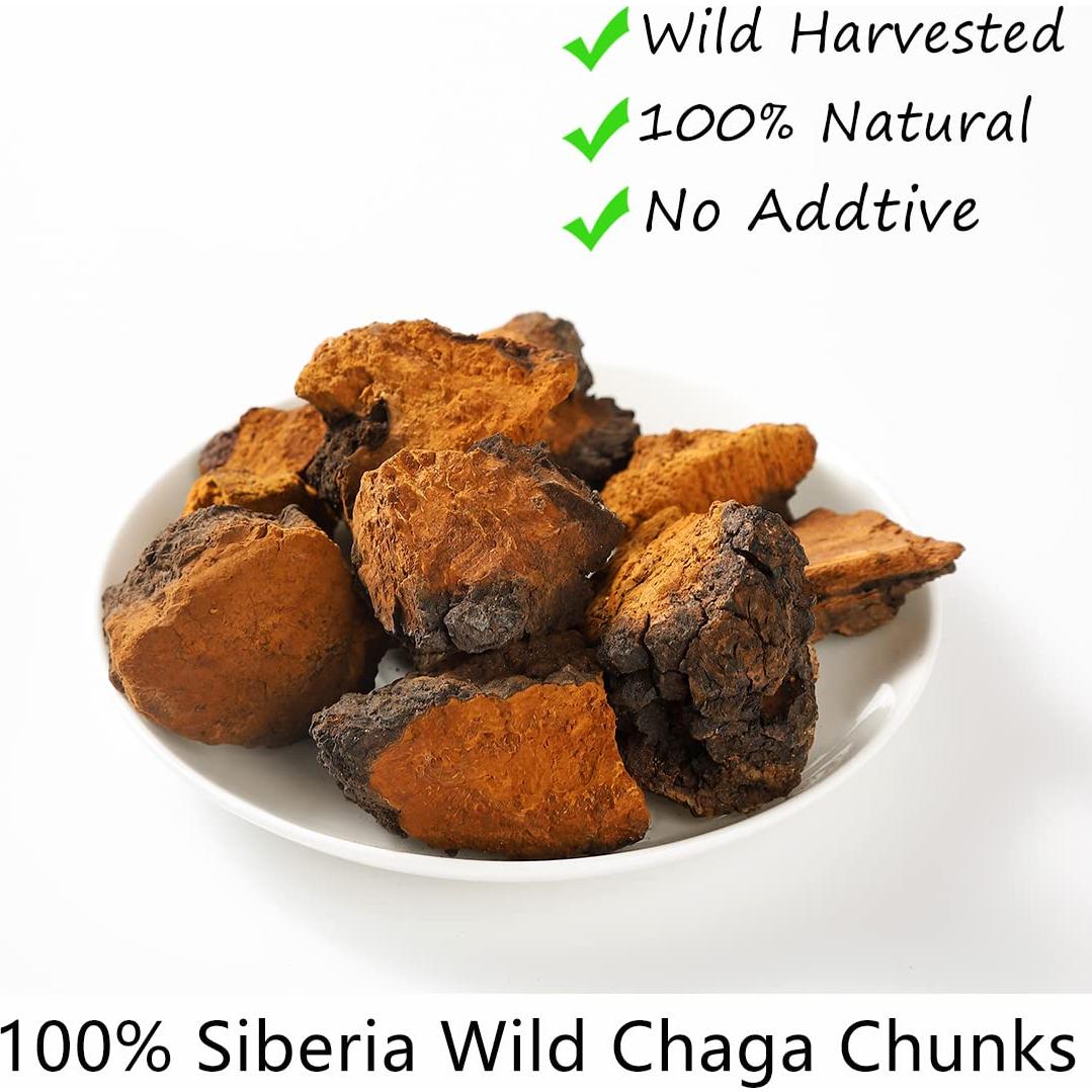 Hongos Chaga Premium YILINSHA 199g - Suplemento Natural