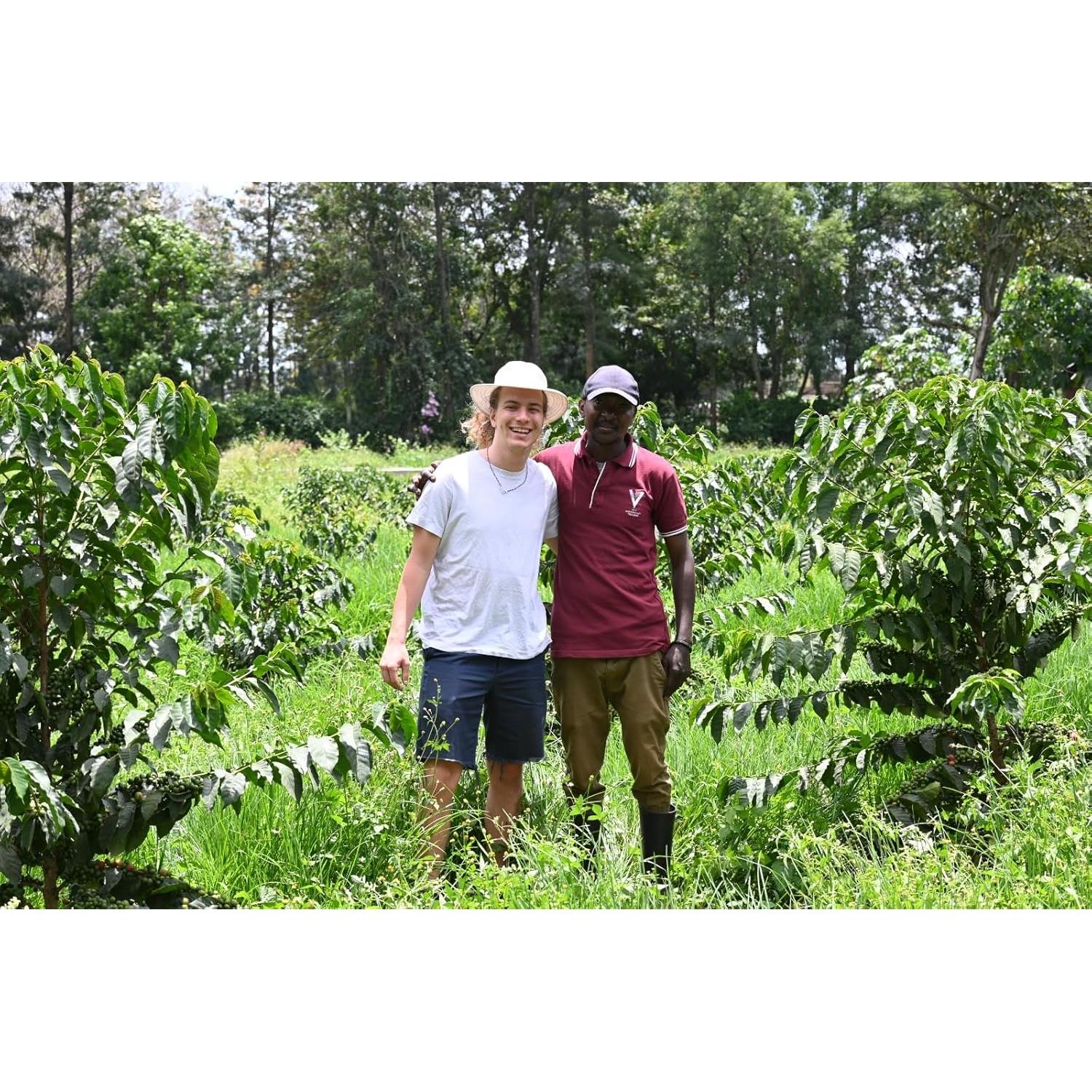 Granos de Café Verde Arábica Kenya AA 1360g - 100% Puro