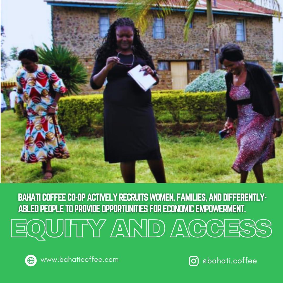 Granos de Café Verde Arábica Kenya AA 1360g - 100% Puro