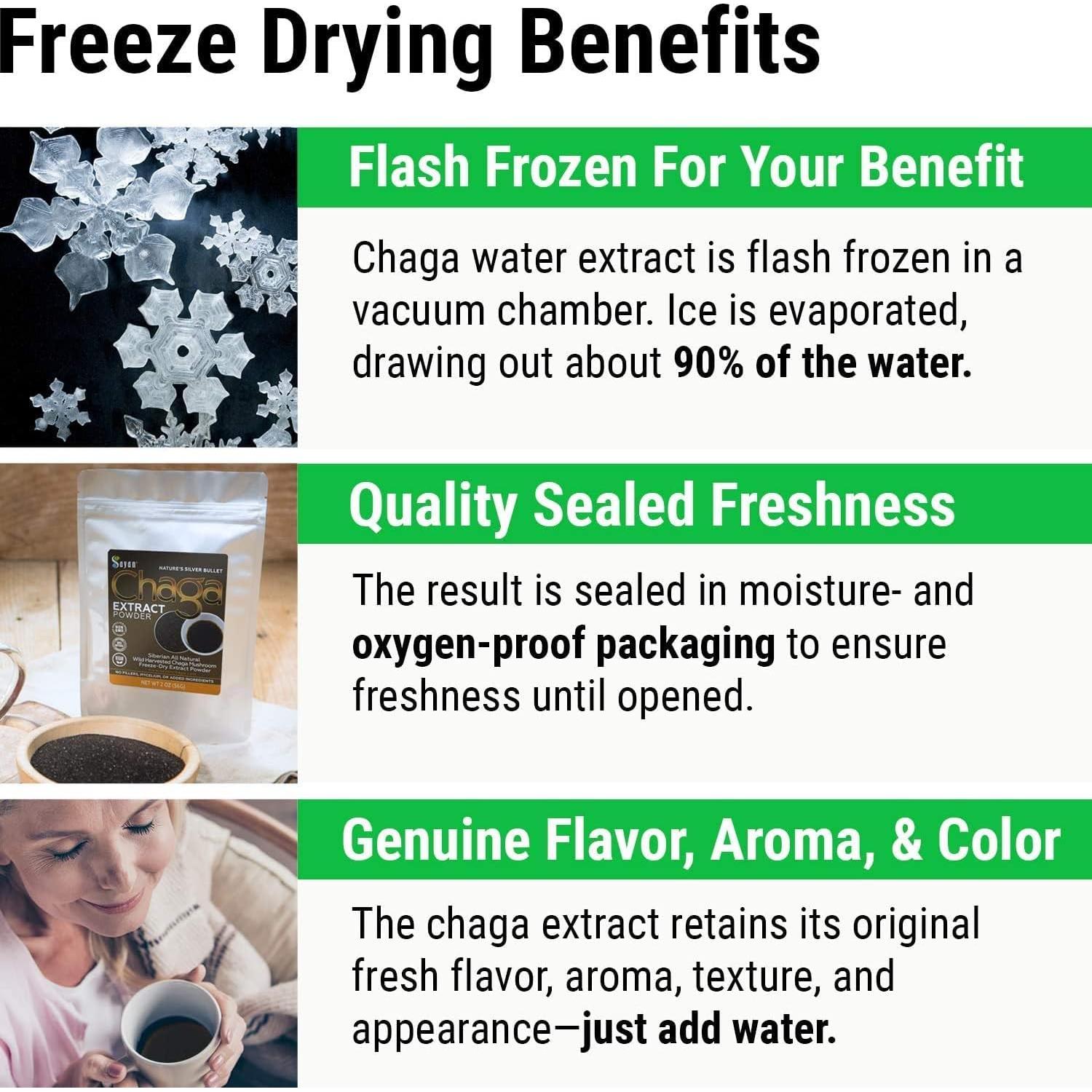 Té y Extracto de Chaga Sayan 2 Oz - Antioxidante Orgánico