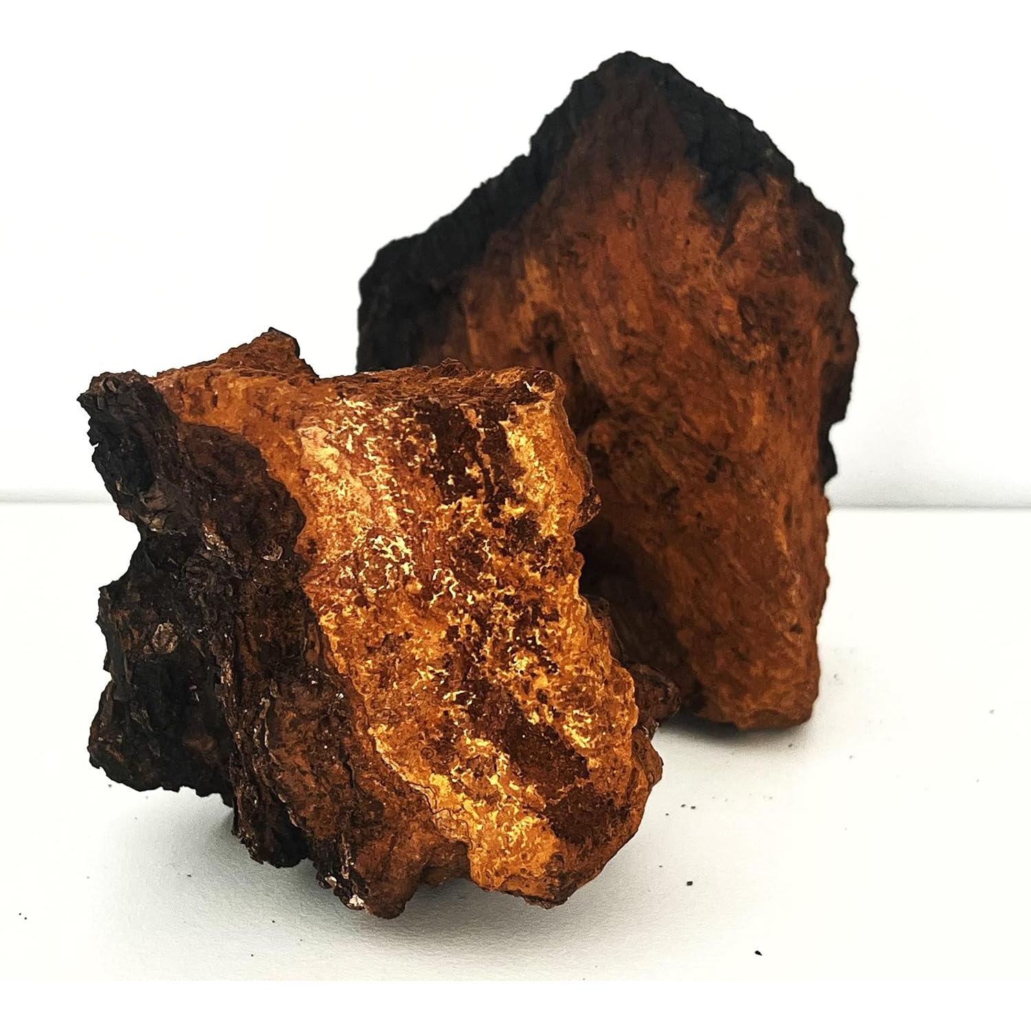 Polvo de Hongo Chaga Meteor Mushrooms 100g Antioxidante