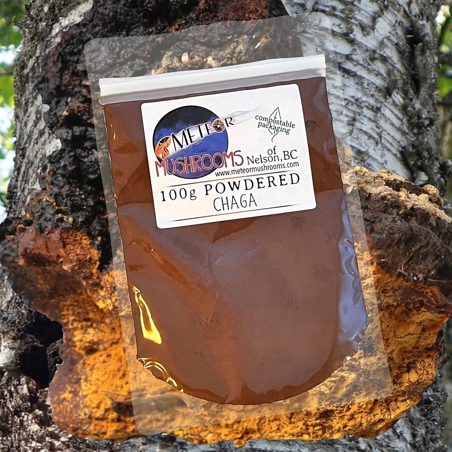 Polvo de Hongo Chaga Meteor Mushrooms 100g Antioxidante