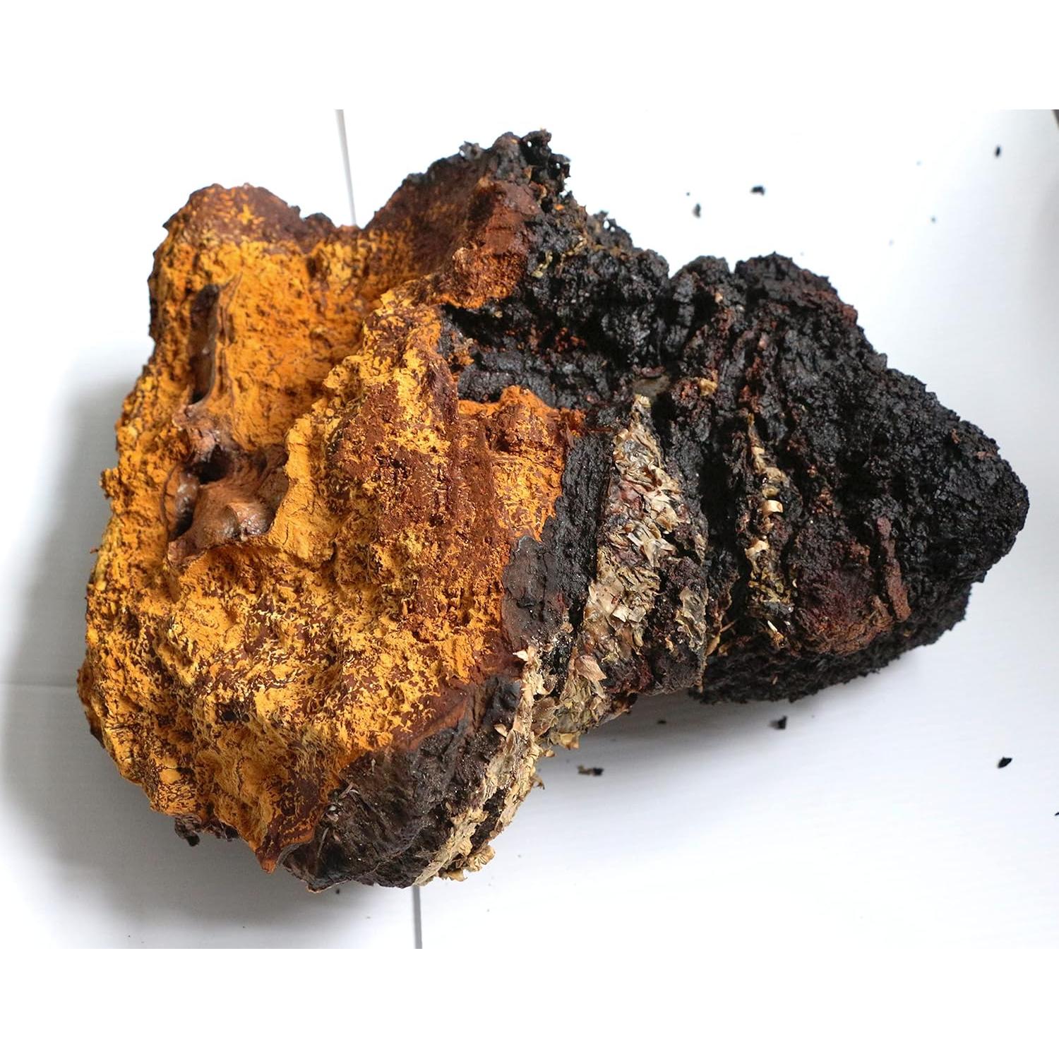 Polvo de Hongo Chaga Meteor Mushrooms 100g Antioxidante