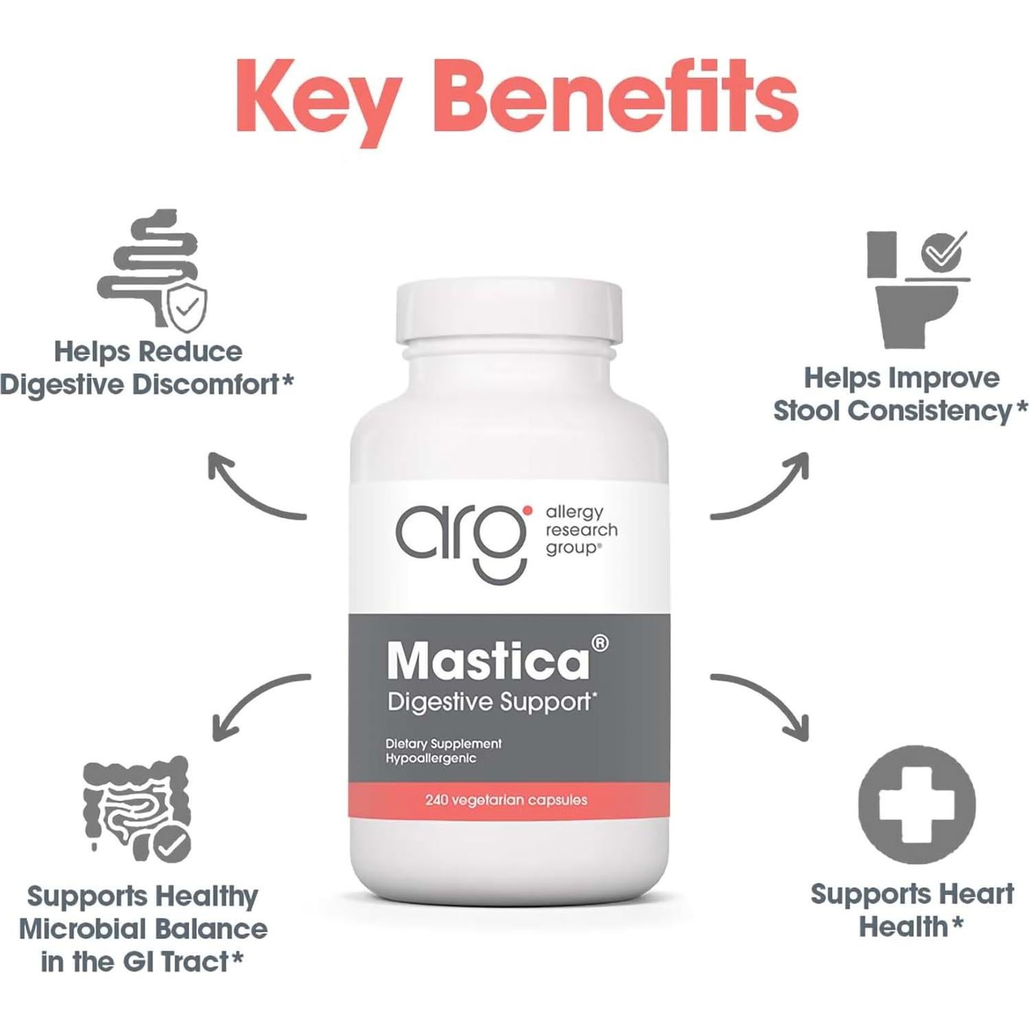 Cápsulas de Goma Mástica Arg - Suplemento Digestivo 240 Unidades