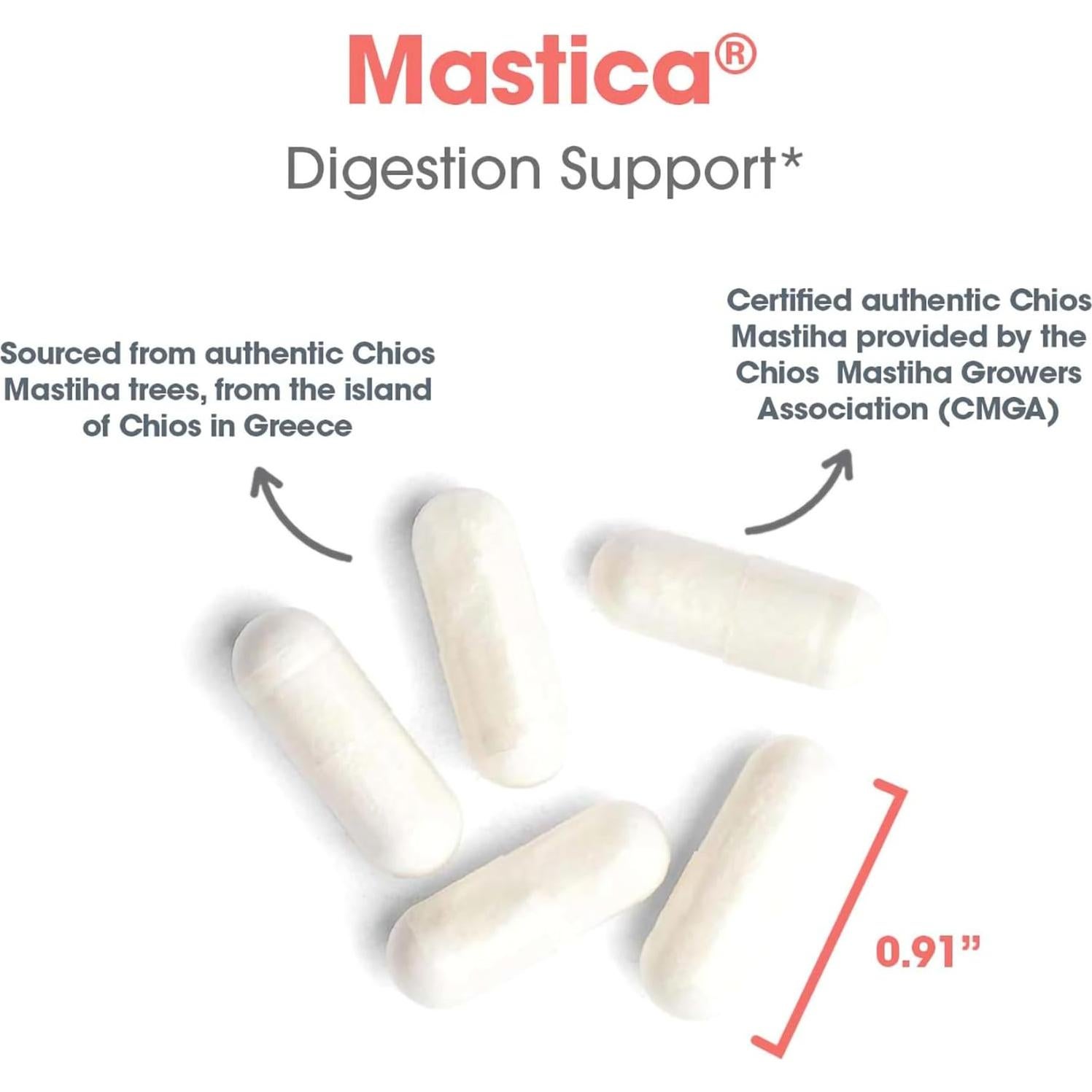 Cápsulas de Goma Mástica Arg - Suplemento Digestivo 240 Unidades