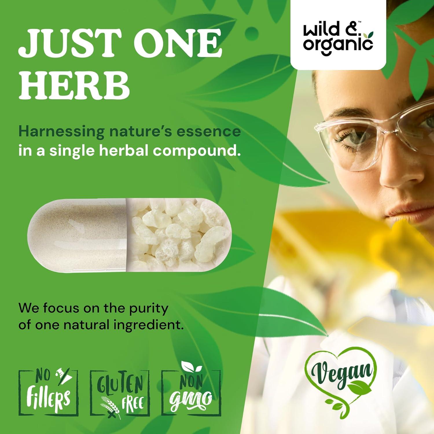 Cápsulas de Goma Mástica Silvestre y Orgánica 1000 mg - 90 Veganas