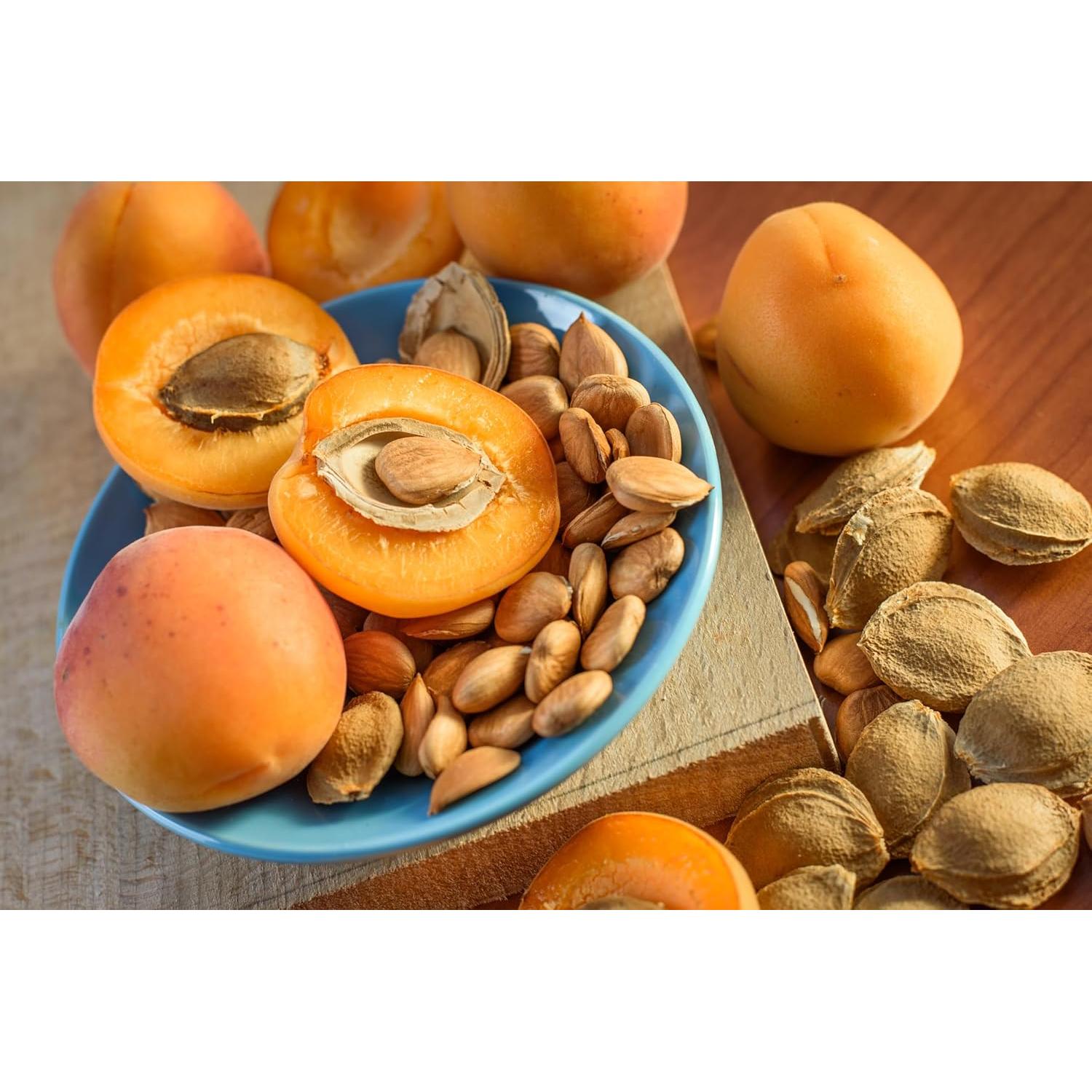 Semillas de Albaricoque Amargas Crudas Nature's Choice 227 g