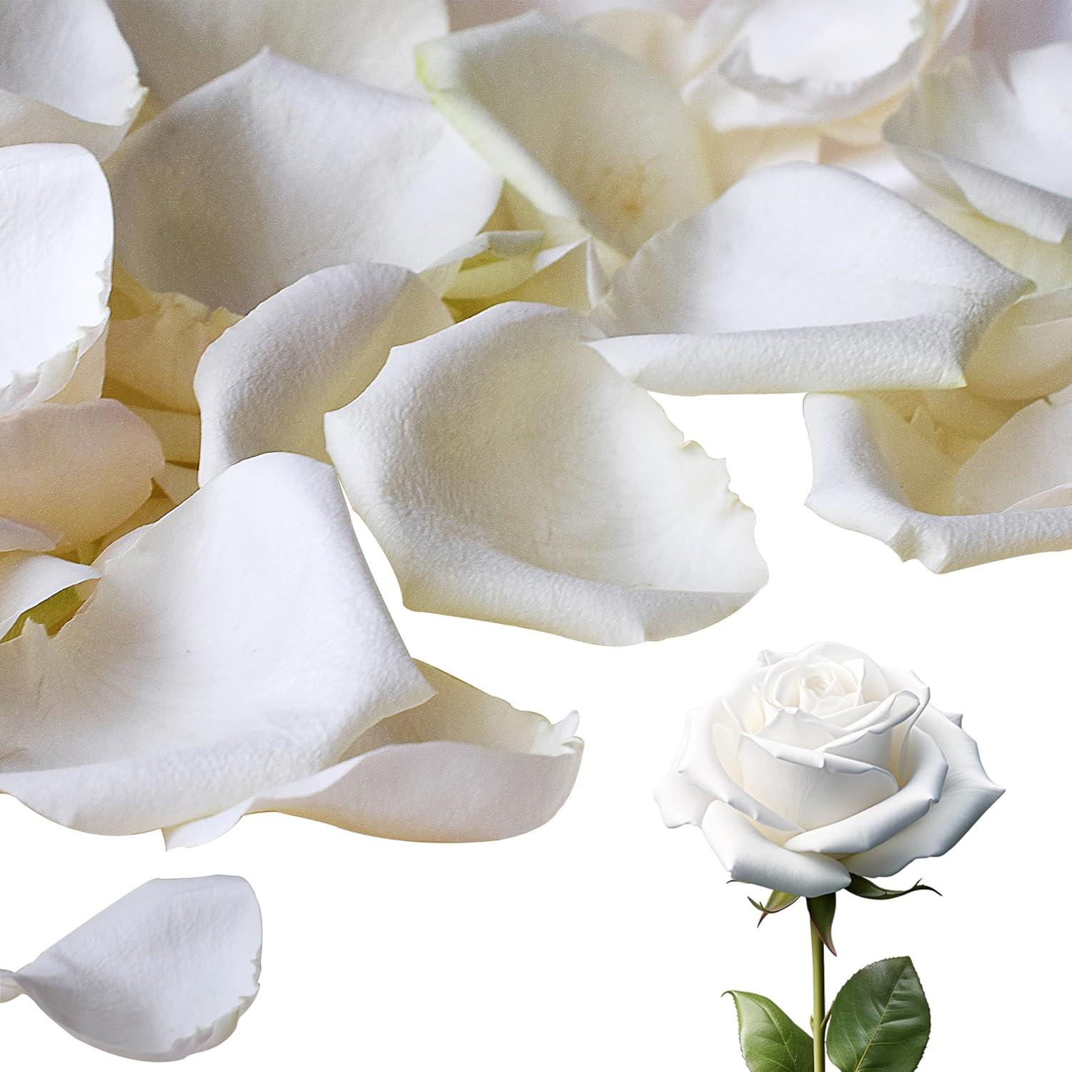 Pétalos de Rosa Secos Biodegradables ZPNUZDU 100g Blancos