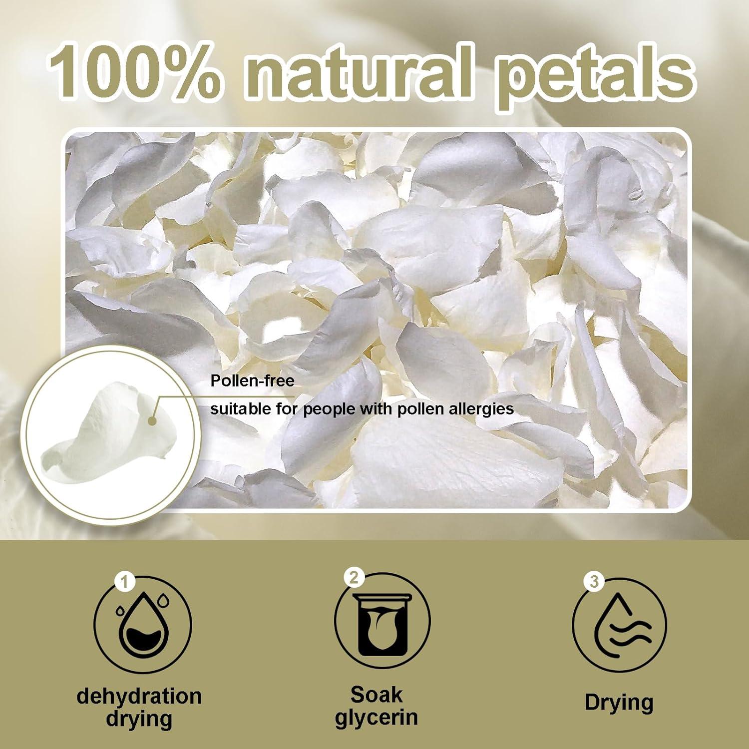 Pétalos de Rosa Secos Biodegradables ZPNUZDU 100g Blancos