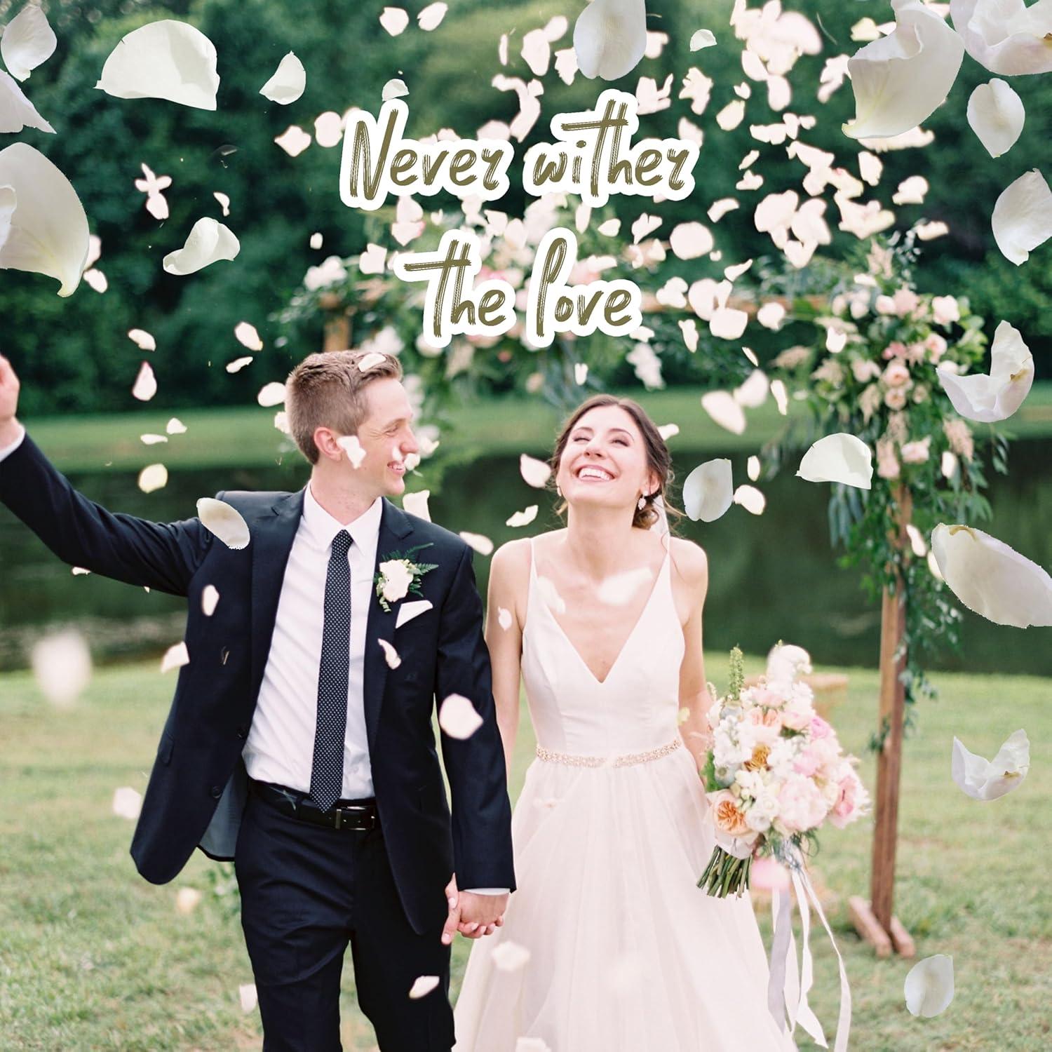 Pétalos de Rosa Secos Biodegradables ZPNUZDU 100g Blancos