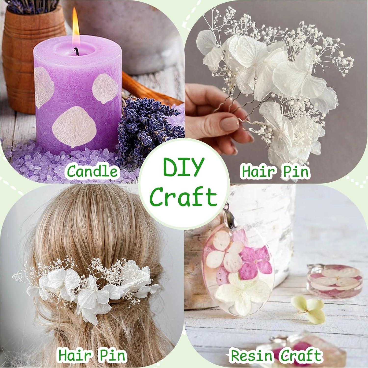 3000 Pétalos Secos de Hortensia Blancos Marfil - 60g para Decoración