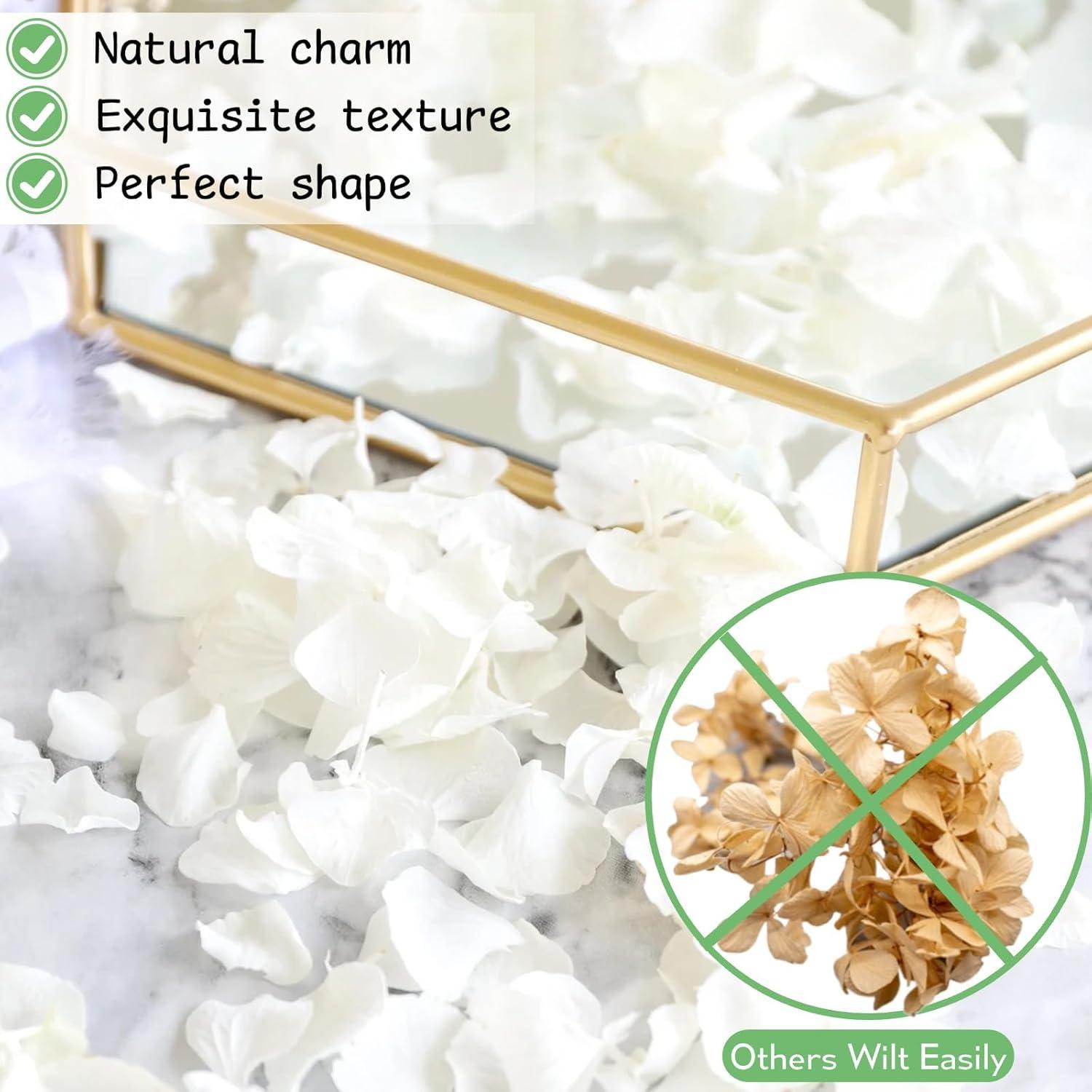 3000 Pétalos Secos de Hortensia Blancos Marfil - 60g para Decoración
