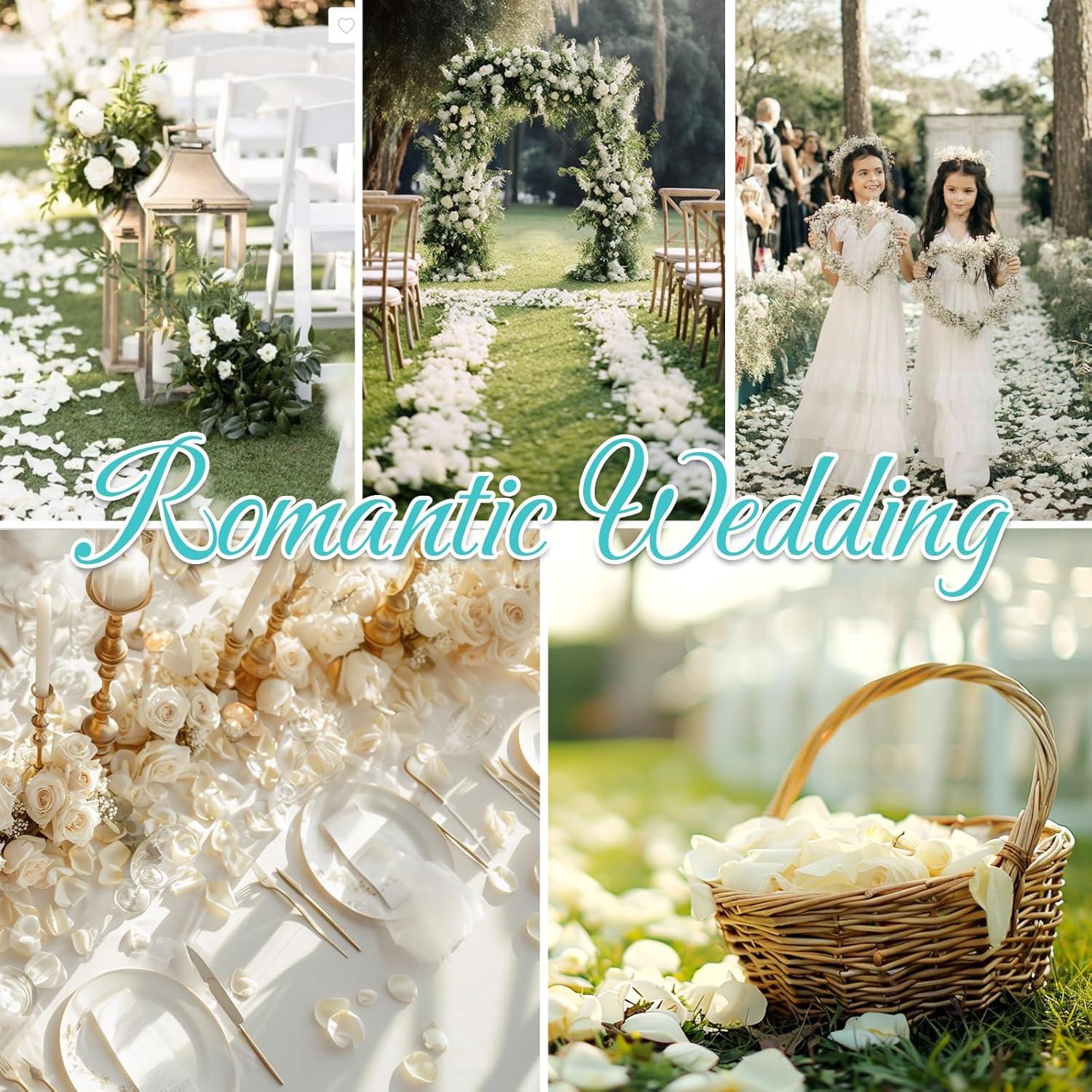 Pétalos de Rosa Blanca Marfil Secos Eslibin 45 g Decoración