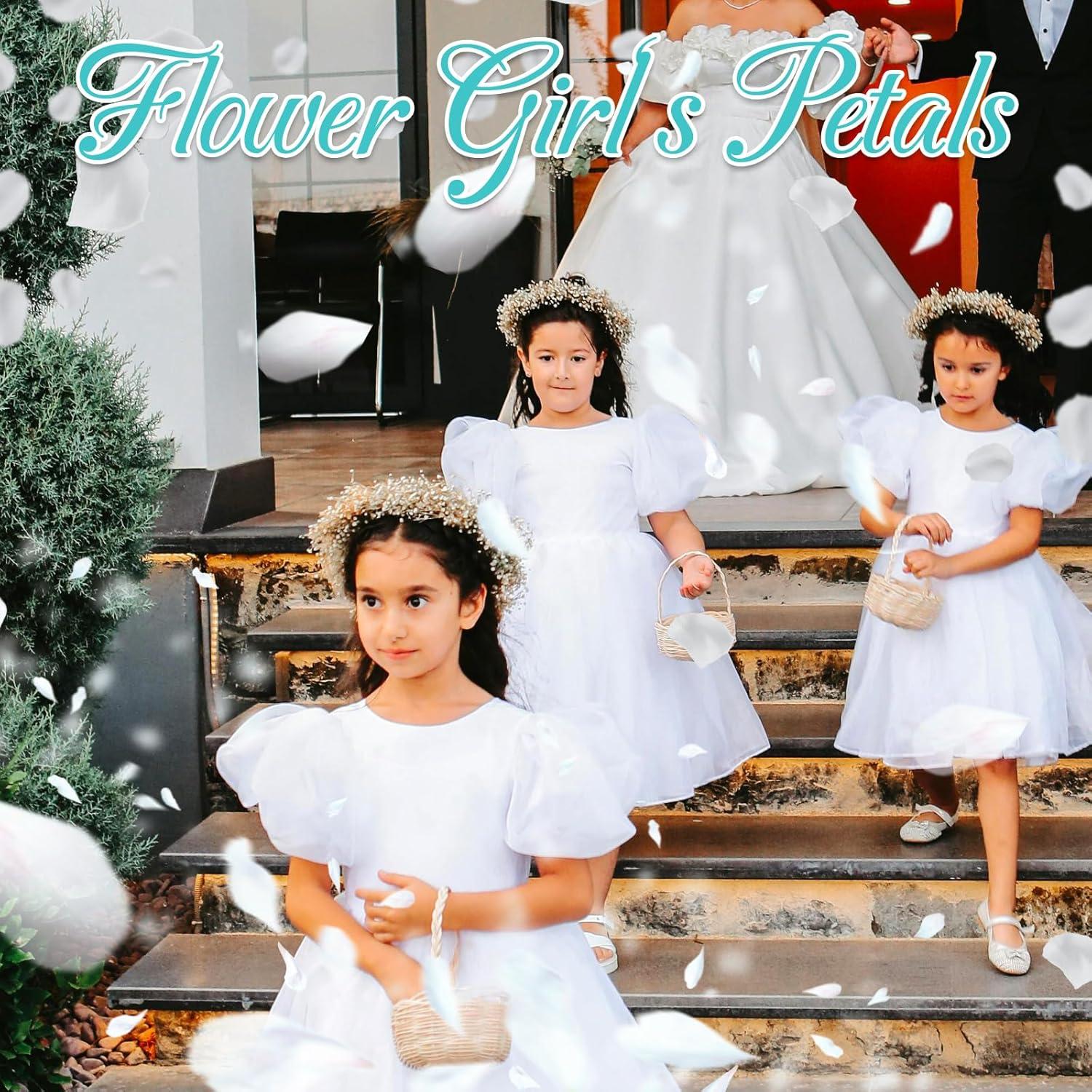 Pétalos de Rosa Blanca Marfil Secos Eslibin 45 g Decoración