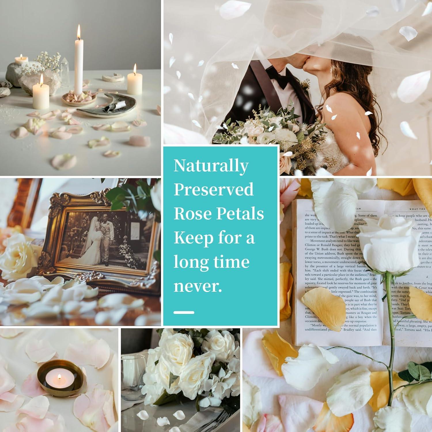 Pétalos de Rosa Blanca Marfil Secos Eslibin 45 g Decoración