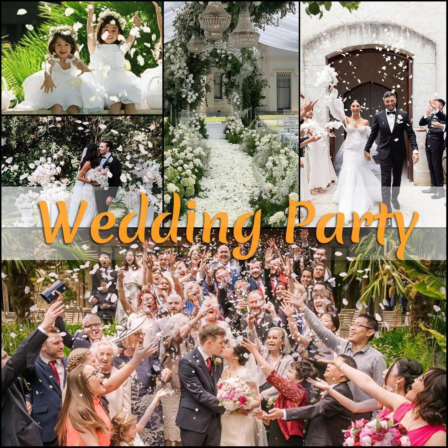 300 Pétalos de Rosa Blanca Real Eslibin para Bodas 80g