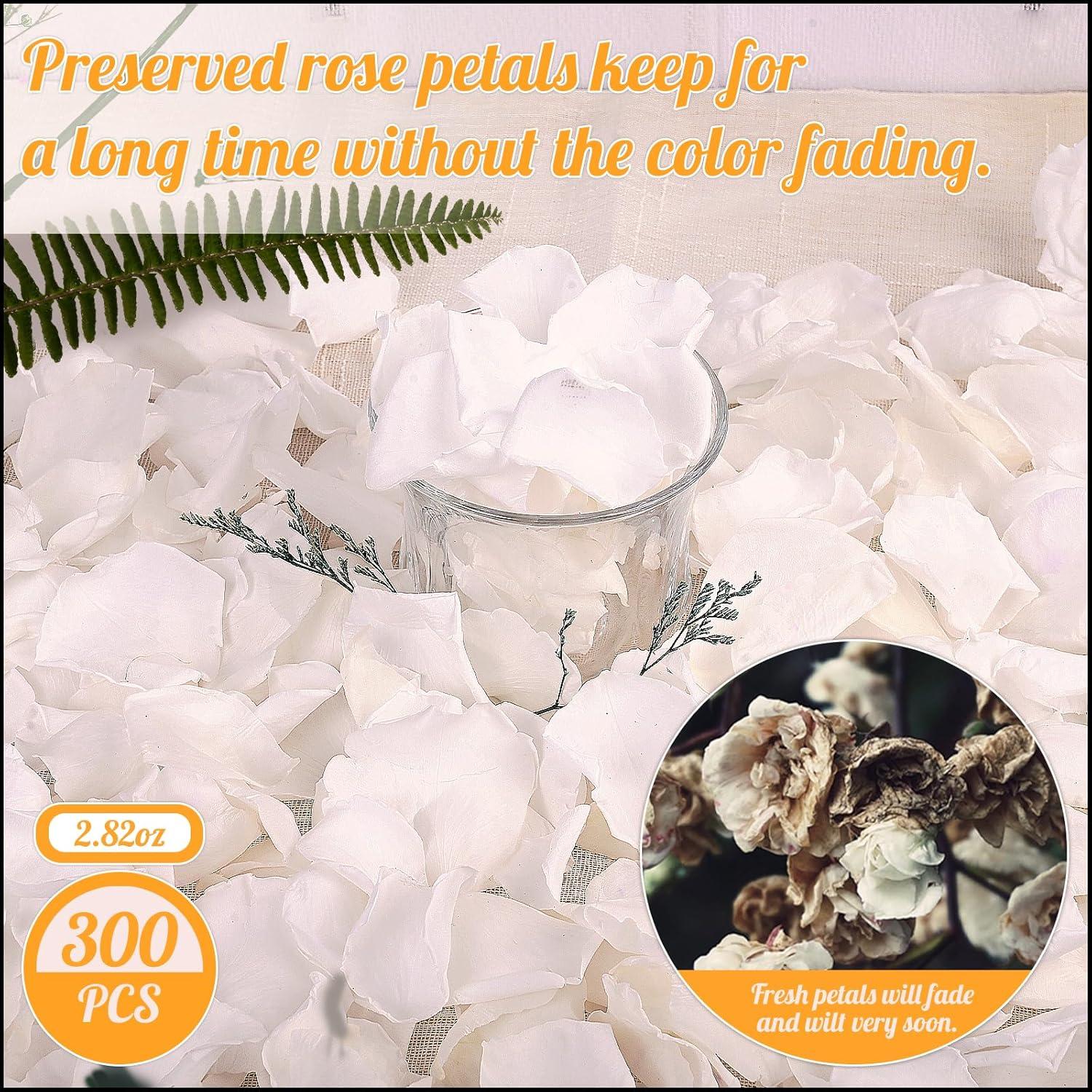 300 Pétalos de Rosa Blanca Real Eslibin para Bodas 80g