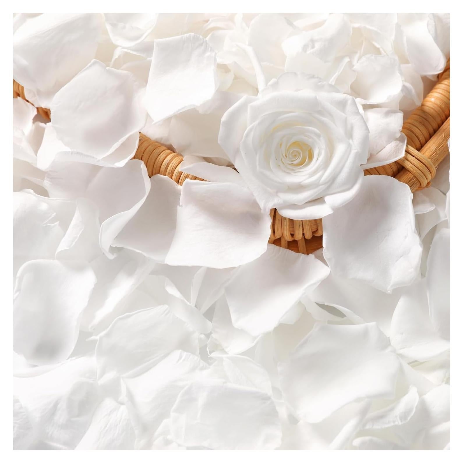 Pétalos de Rosa Secos Blancos miidii - 150 Piezas para Decoración