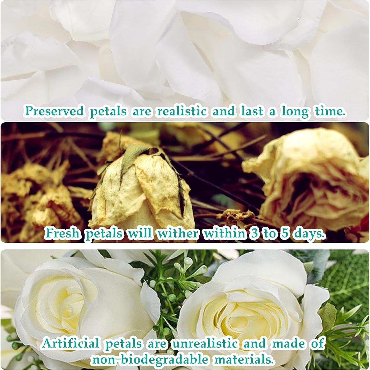 Pétalos de Rosa Secos Blancos miidii - 150 Piezas para Decoración