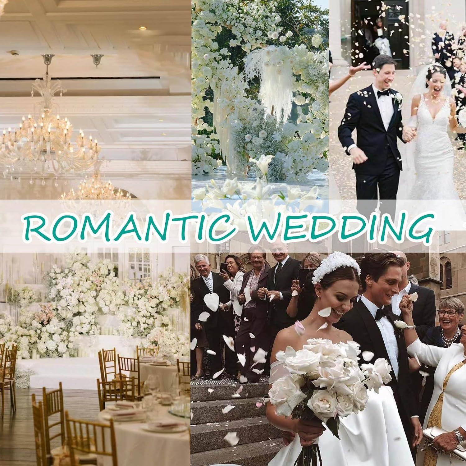 Pétalos de Rosa Secos Blancos miidii - 150 Piezas para Decoración