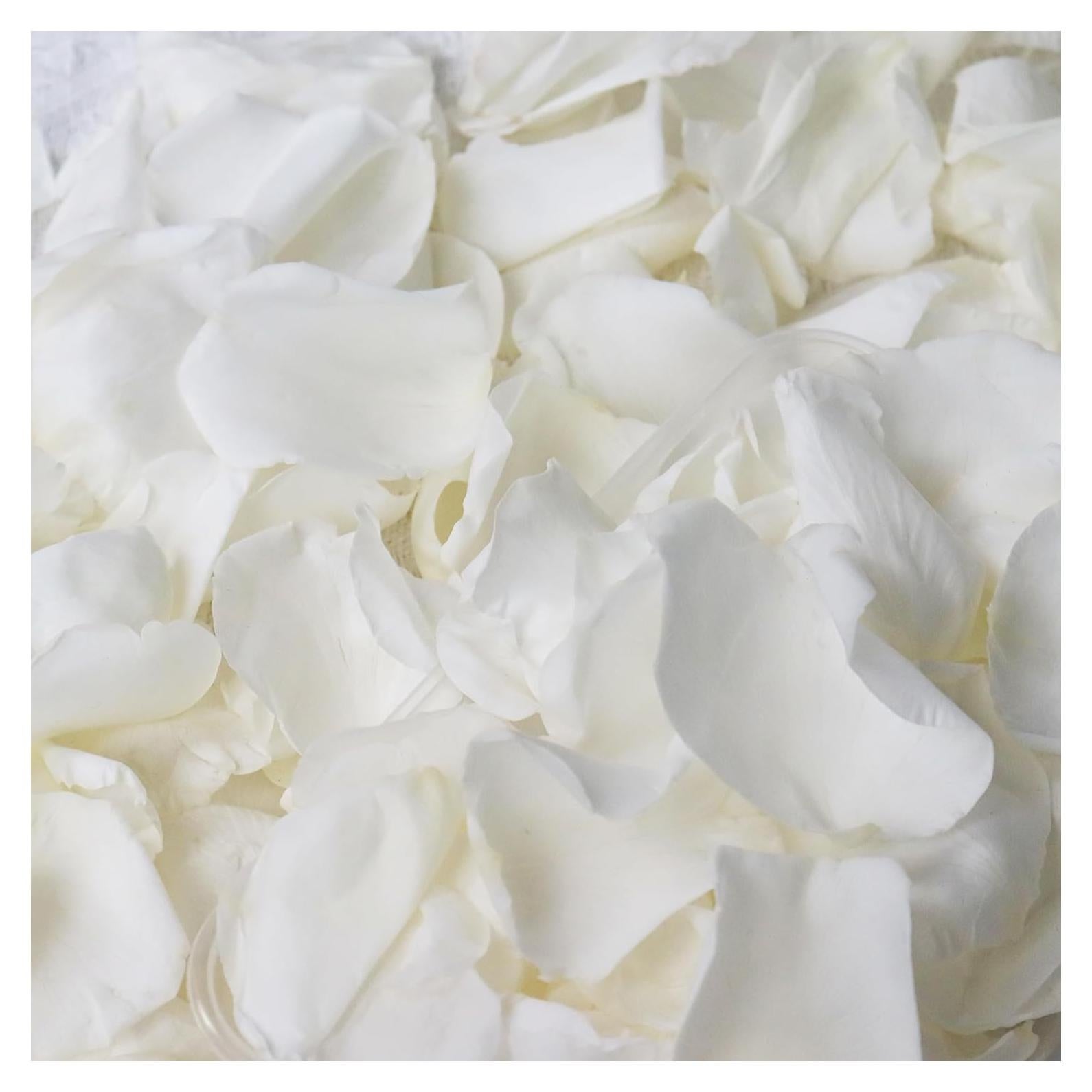 Pétalos de Rosa Blanca Real Secos Acfruits 220 Piezas 59.5g