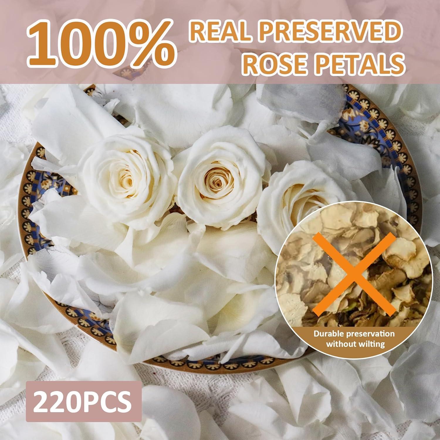 Pétalos de Rosa Blanca Real Secos Acfruits 220 Piezas 59.5g