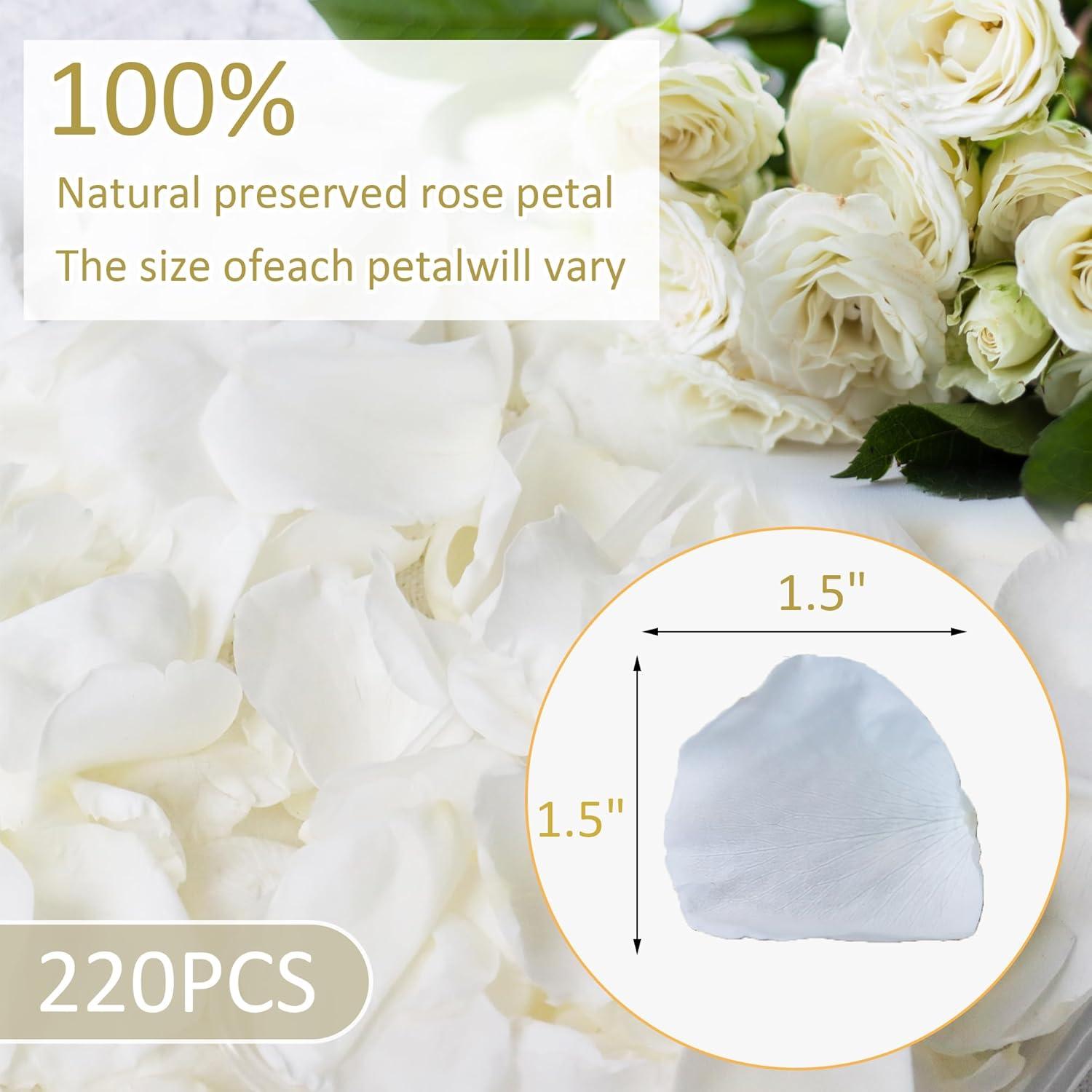 Pétalos de Rosa Blanca Real Secos Acfruits 220 Piezas 59.5g