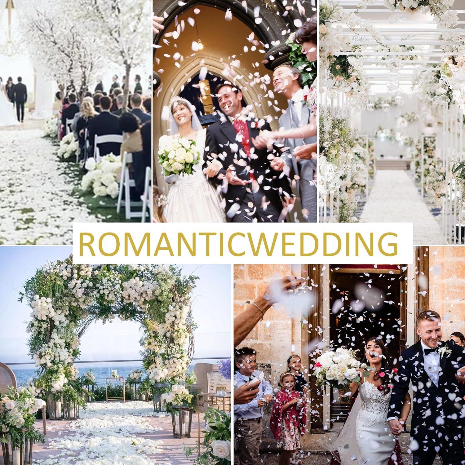 Pétalos de Rosa Blanca Real Secos Acfruits 220 Piezas 59.5g