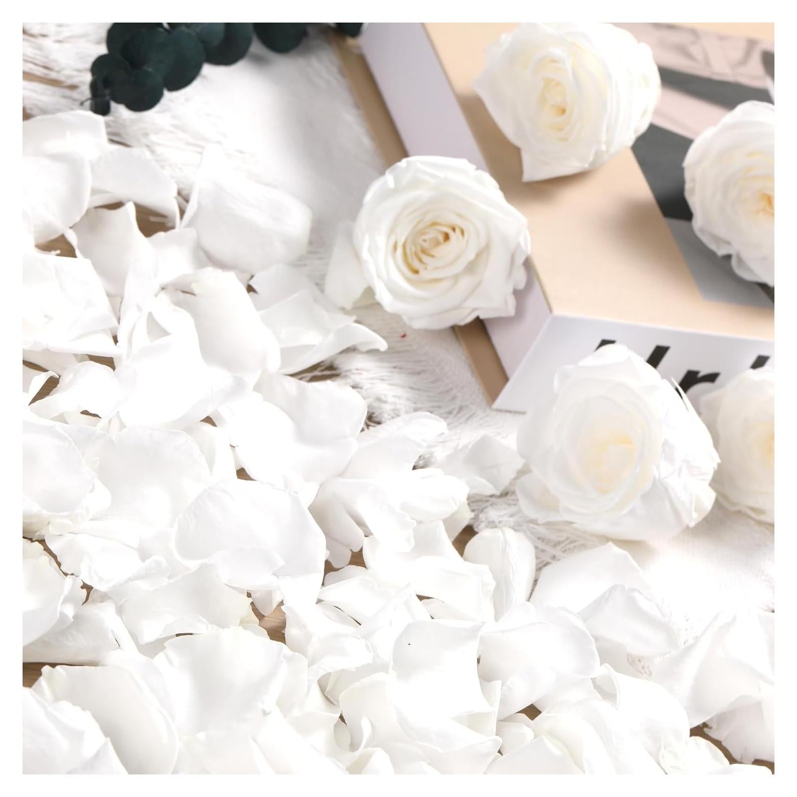 Pétalos de Rosa Secos Blancos Tavkite - 140 Unidades para Decoración